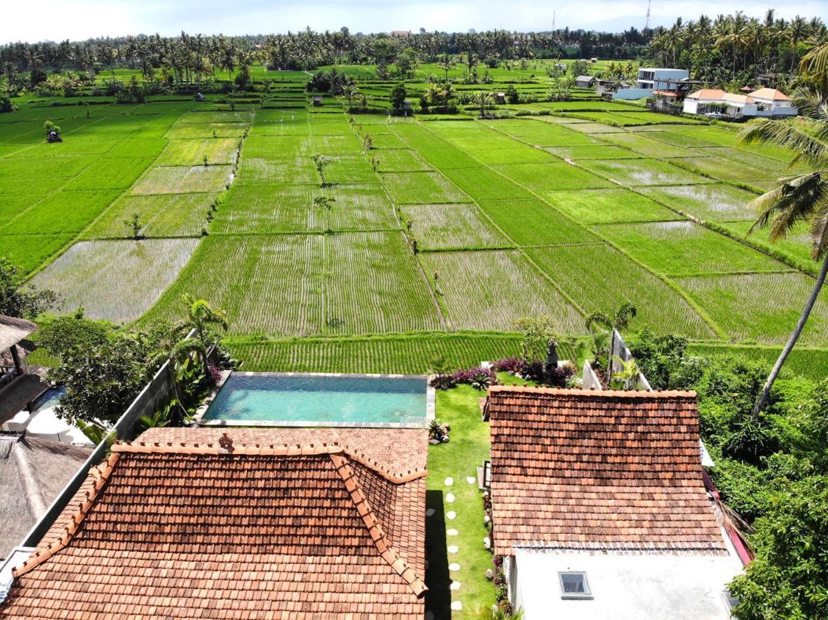 Villa O'Hea Ubud Dış mekan fotoğraf