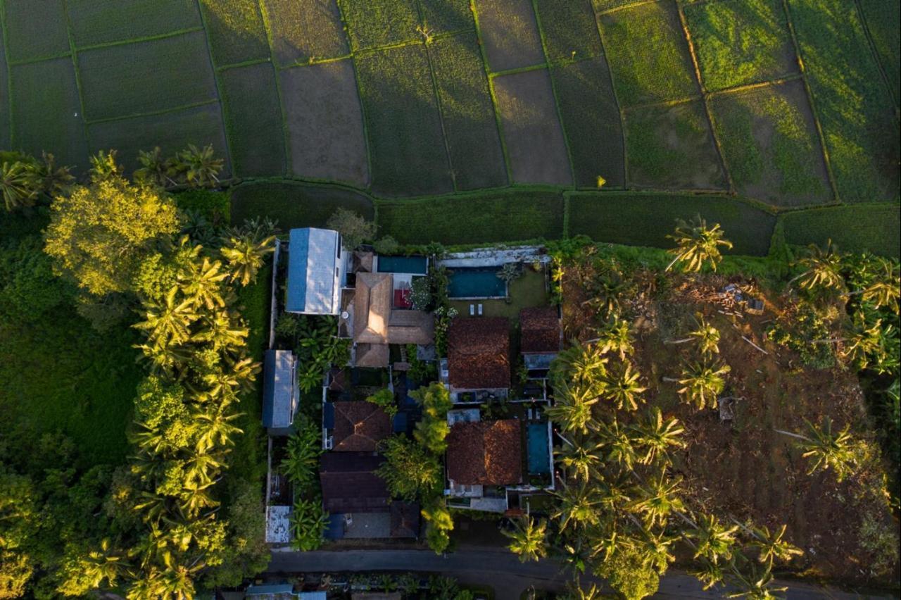 Villa O'Hea Ubud Dış mekan fotoğraf
